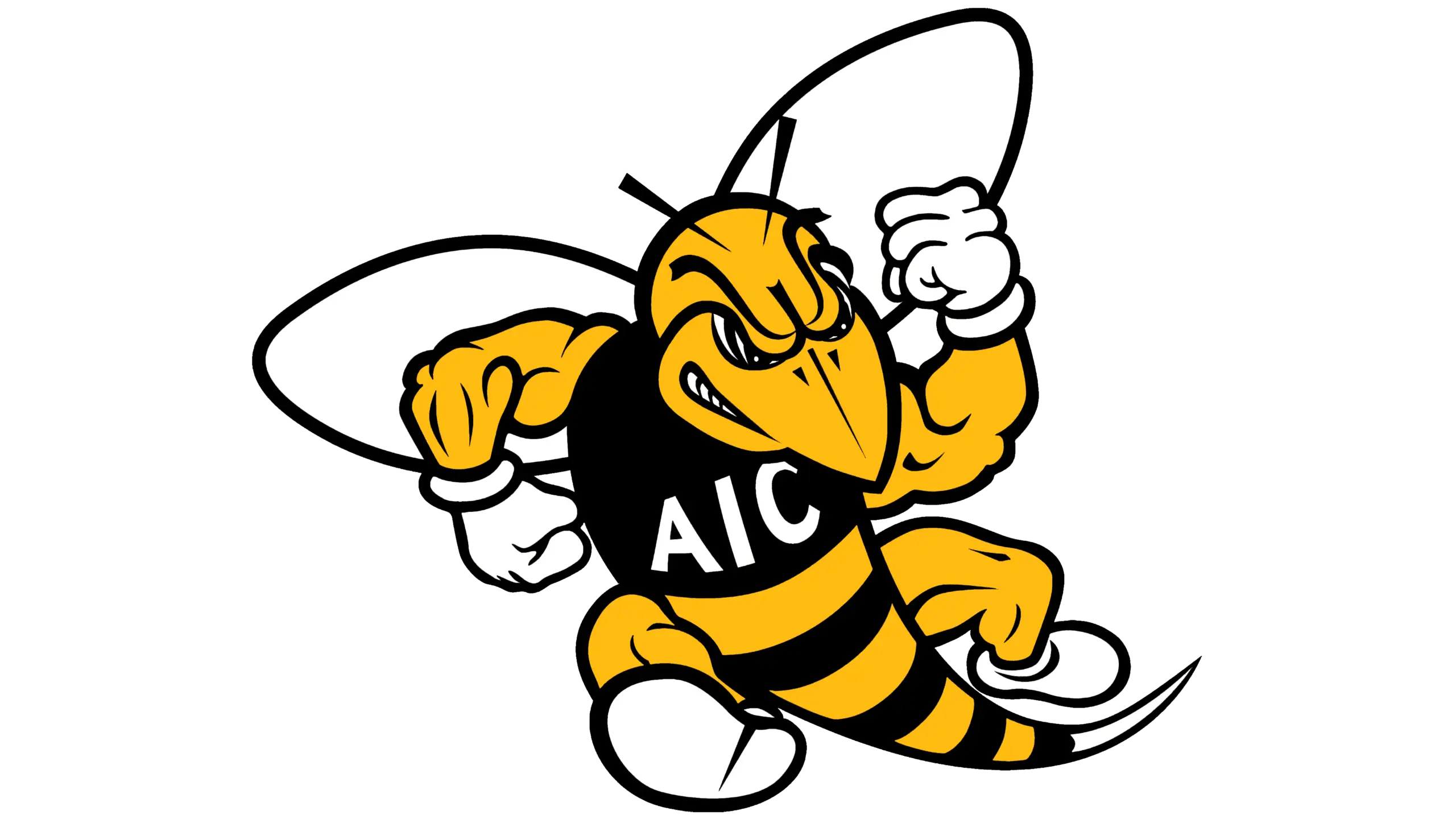 American International College