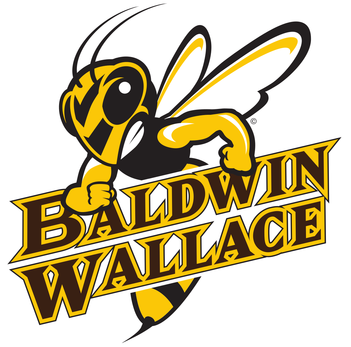 Baldwin Wallace University
